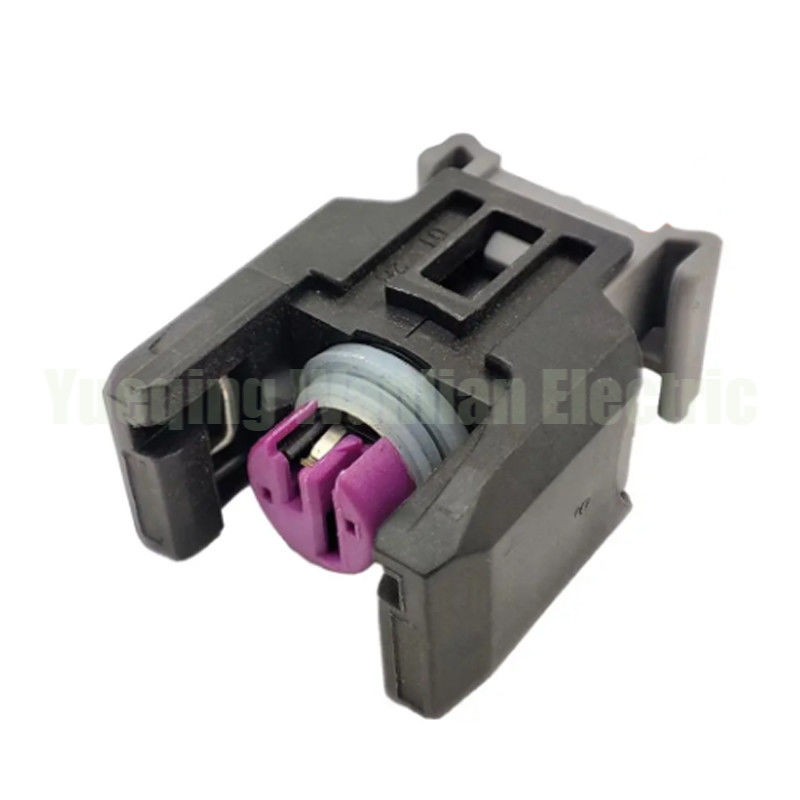 03P973702 13816706 Diesel Automóvel Feminino Injetor de motor de ferro comum